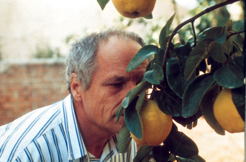 The Art of the Cinema - "Dream of Light" 1/1