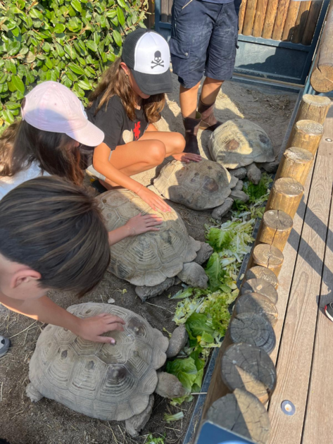 Club Oceano - Stage de découverte sur l'Océan 1/1