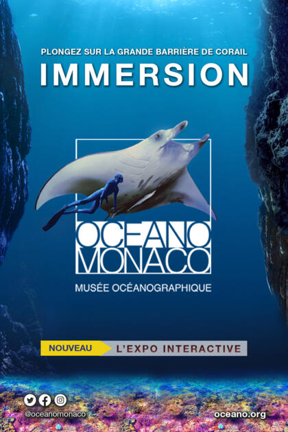 "Immersion", the interactive exhibition 1/2