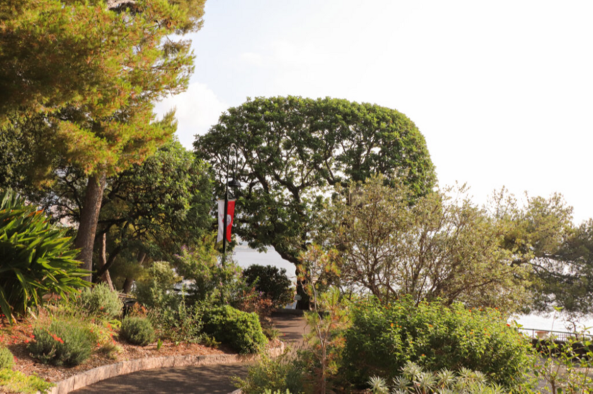 European Heritage Days : Et si le caroubier m’était conté ? 1/2