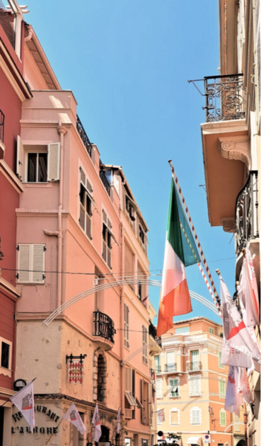 Journées européennes du patrimoine : Princess Grace Irish Library 1/2