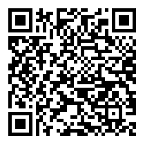 QR Code https://stage.principocket.com/en/events/0926e2155c0fe5baed5ed025023b24b1-Don-t-Give-Up