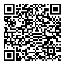 QR Code https://stage.principocket.com/en/events/1330c94ba1ba3c94c322fd5017292bc3-Miro-la-peinture-au-defi