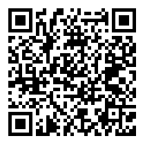QR Code https://stage.principocket.com/en/events/1de8775e51fedc9212cf2ebef0634725-Christmas-Village