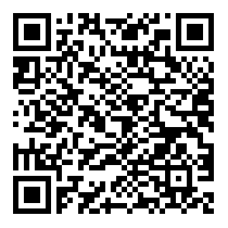 QR Code https://stage.principocket.com/en/events/391658485525dd7f8c975c32e91ef2e3-Aniki-Bobo