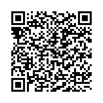 QR Code https://stage.principocket.com/en/events/534d3aad0700cfc88debffec455cadf1-Vincent-Van-Gogh-la-quete-absolue
