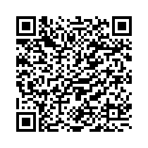 QR Code https://stage.principocket.com/en/events/534d3aad0700cfc88debffec455cadf1-Vincent-Van-Gogh-la-ricerca-assoluta