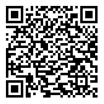 QR Code https://stage.principocket.com/en/events/542a1b0bc9c8a985ff468144865bc112-Mostra-Celebrating-Art