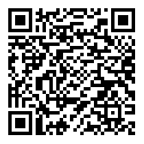 QR Code https://stage.principocket.com/en/events/aeae2751b0b6f9488078980aff42c6d7-Attivita-Roller-Station