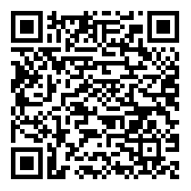QR Code https://stage.principocket.com/en/events/c066e06f3327c508c1b1a3ee5db3cf45-Christmas-Village