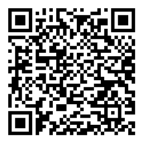 QR Code https://stage.principocket.com/en/events/d1566fbd46b8a8b2569f81405c1ad390-Film-Agent-Trouble