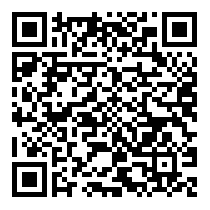 QR Code https://stage.principocket.com/en/events/d89994f2e68bbae5ad55375b3cb11e81-Christmas-Village