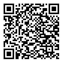 QR Code https://stage.principocket.com/en/events/dcbb2b4c02fefe869348d800cb884d51-Festa-del-Mare
