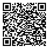 QR Code https://stage.principocket.com/en/events/e303f26bb1d773ce2e5f377cd1e82e12-Vassilissa