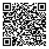 QR Code https://stage.principocket.com/en/events/eb990d5496a4563bf4cdb7c98f625824-Vendita-all-asta