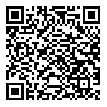QR Code https://stage.principocket.com/fr/events/029225da5bc2edfd96aa7d2d1f68df67-Marginalia