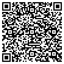 QR Code https://stage.principocket.com/fr/events/130f0df64b89b519446e9d848b05e13f-A-look-at-major-painting-exhibitions-Van-Gogh-at-Auvers-sur-Oise-the-final-months