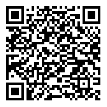 QR Code https://stage.principocket.com/fr/events/35ff099f75471e88bae789599bf294d7-Concert-Patrice-Rushen