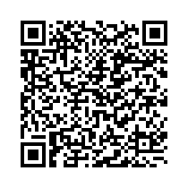 QR Code https://stage.principocket.com/fr/events/534d3aad0700cfc88debffec455cadf1-Vincent-Van-Gogh-la-quete-absolue