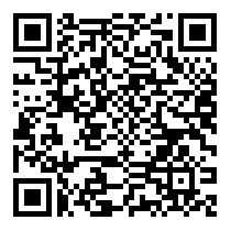 QR Code https://stage.principocket.com/fr/events/b1166357d95adb30041723612bfee9a5-Mostra-George-Condo-Humanoides