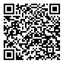 QR Code https://stage.principocket.com/fr/events/c2201f96fa18e5b14027e5e30ff62db0-Animation-Ice-Party