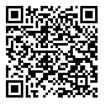 QR Code https://stage.principocket.com/fr/events/c60518bd9a52b95c402859f72073e162-4th-Museum-Festival