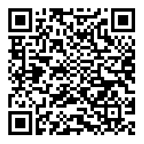 QR Code https://stage.principocket.com/it/events/09bf6b966423d5caced90319ed42dfff-Concerto