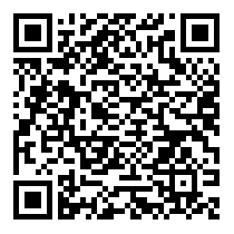 QR Code https://stage.principocket.com/it/events/167c81a88cf47fa1d0f2d0abc6262338-Concerto-Elise-Allasia
