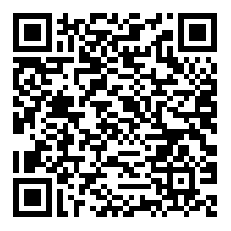 QR Code https://stage.principocket.com/it/events/1de8775e51fedc9212cf2ebef0634725-Village-de-Noel