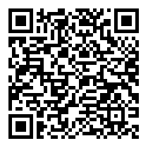 QR Code https://stage.principocket.com/it/events/33050cb9e0e1597f21d452e8e7d7d950-Premier-League-Football