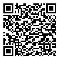 QR Code https://stage.principocket.com/it/events/4e2c566ca25298529994f478ba86520c-Concerto-Ladies-Ballbreaker