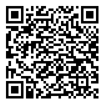 QR Code https://stage.principocket.com/it/events/50d0d839b93c1e4d0f5568b201063379-Concerto-sinfonico
