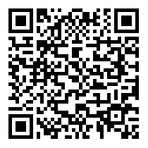 QR Code https://stage.principocket.com/it/events/5406841da483cb73724d315a38dd8117-Conference