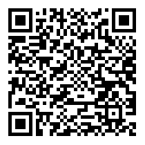 QR Code https://stage.principocket.com/it/events/5406841da483cb73724d315a38dd8117-Conferenza