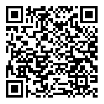 QR Code https://stage.principocket.com/it/events/5f0d0a7cb58f61b32b64a413e0754471-Premier-League-Football