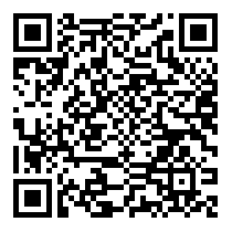 QR Code https://stage.principocket.com/it/events/b1166357d95adb30041723612bfee9a5-Mostra-George-Condo-Humanoides