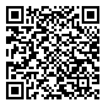 QR Code https://stage.principocket.com/it/events/d89994f2e68bbae5ad55375b3cb11e81-Village-de-Noel