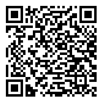 QR Code https://stage.principocket.com/it/events/dd128e46751599115bfd81466bcd661f-Philosophy-Hour
