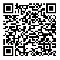 QR Code https://stage.principocket.com/it/events/df8e0ffbc5f092c8e3eeffedebe8004d-Turkish-Airlines-EuroLeague